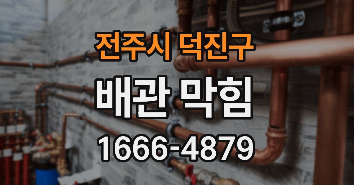 전주시 덕진구 배관 막힘
