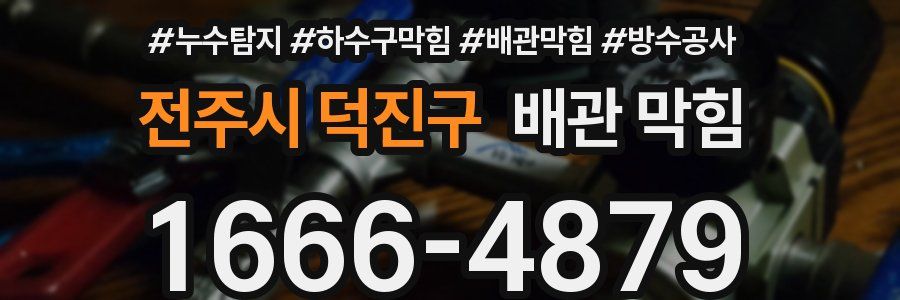 전주시 덕진구 배관 막힘