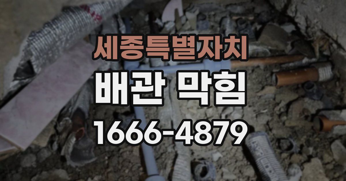 세종특별자치 배관 막힘