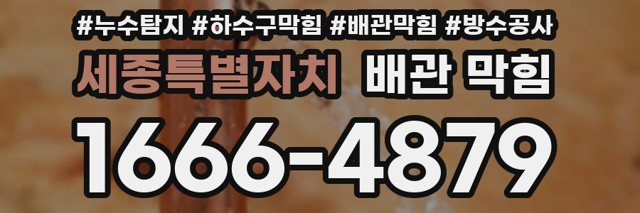 세종특별자치 배관 막힘