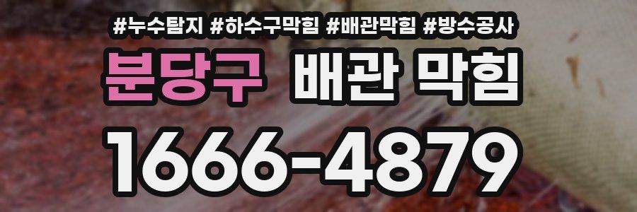 분당구 배관 막힘