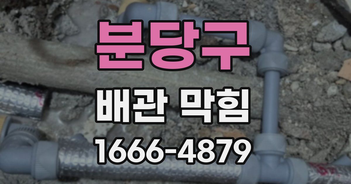 분당구 배관 막힘