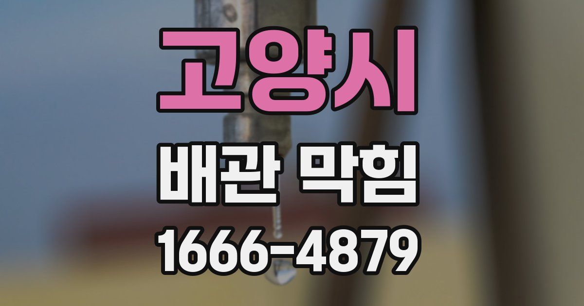 고양시 배관 막힘