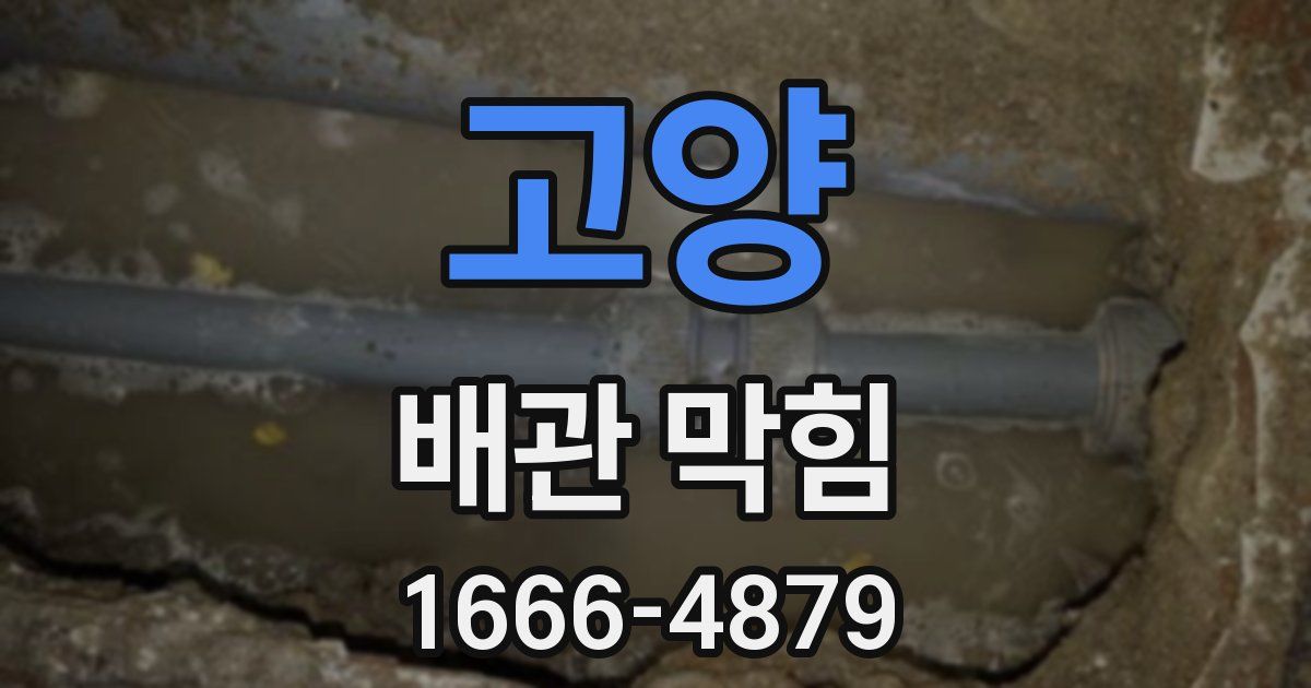 고양 배관 막힘