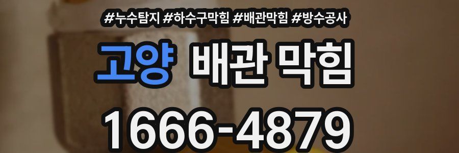 고양 배관 막힘