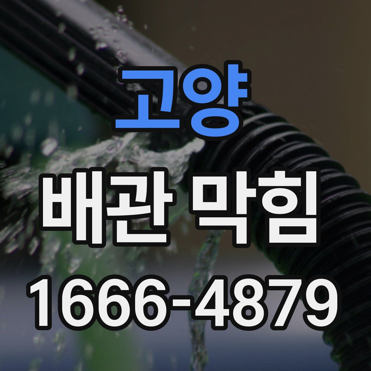 고양 배관 막힘