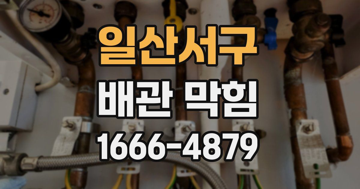 일산서구 배관 막힘