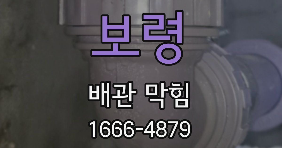 보령 배관 막힘