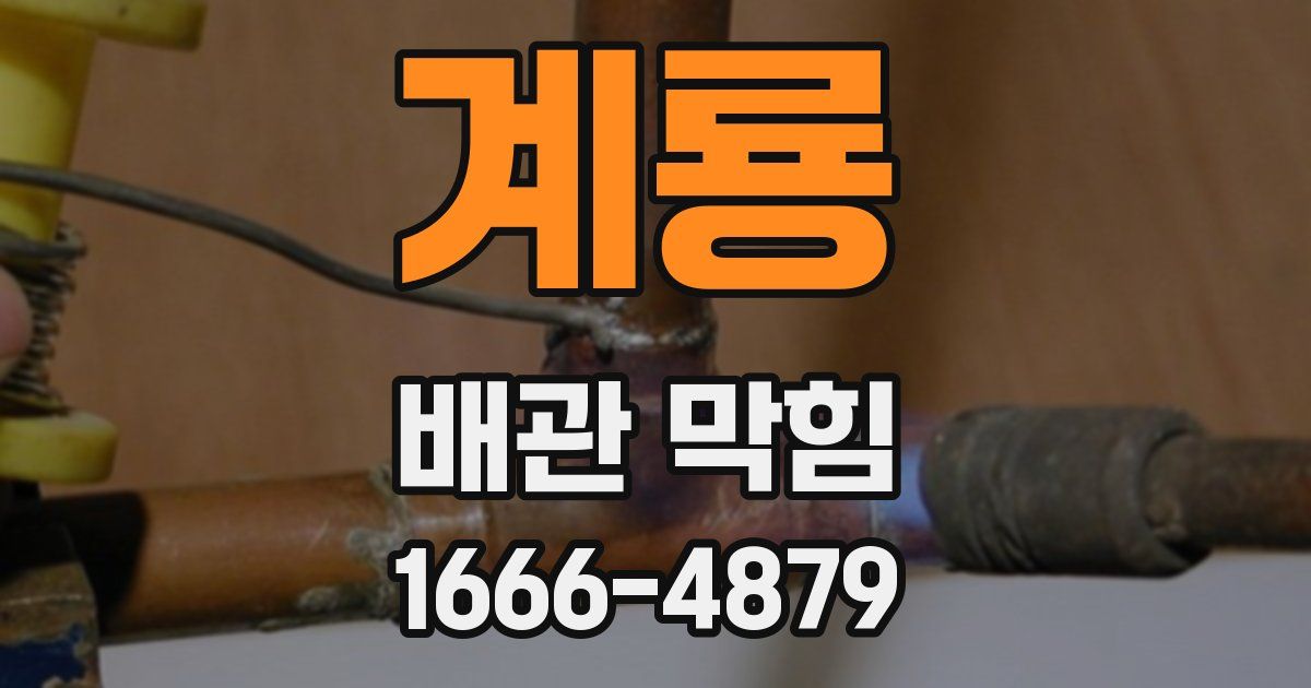 계룡 배관 막힘