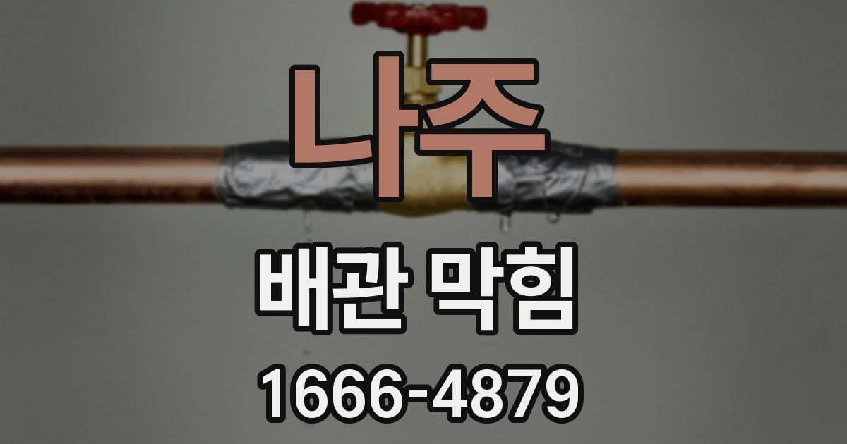 나주 배관 막힘