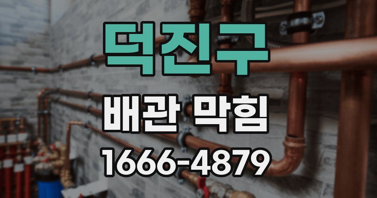 덕진구 배관 막힘