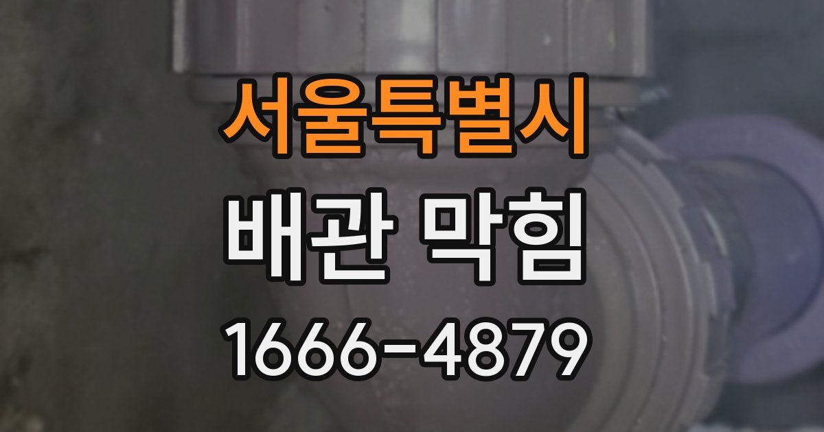 서울특별시 배관 막힘