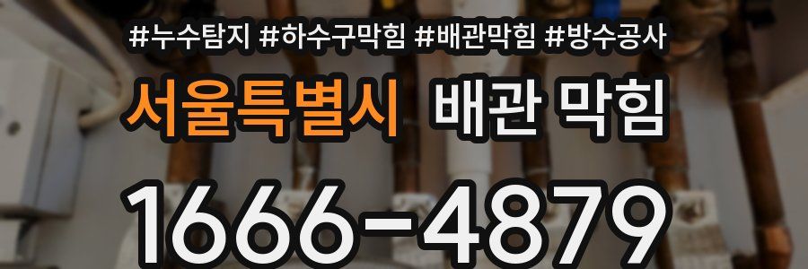 서울특별시 배관 막힘