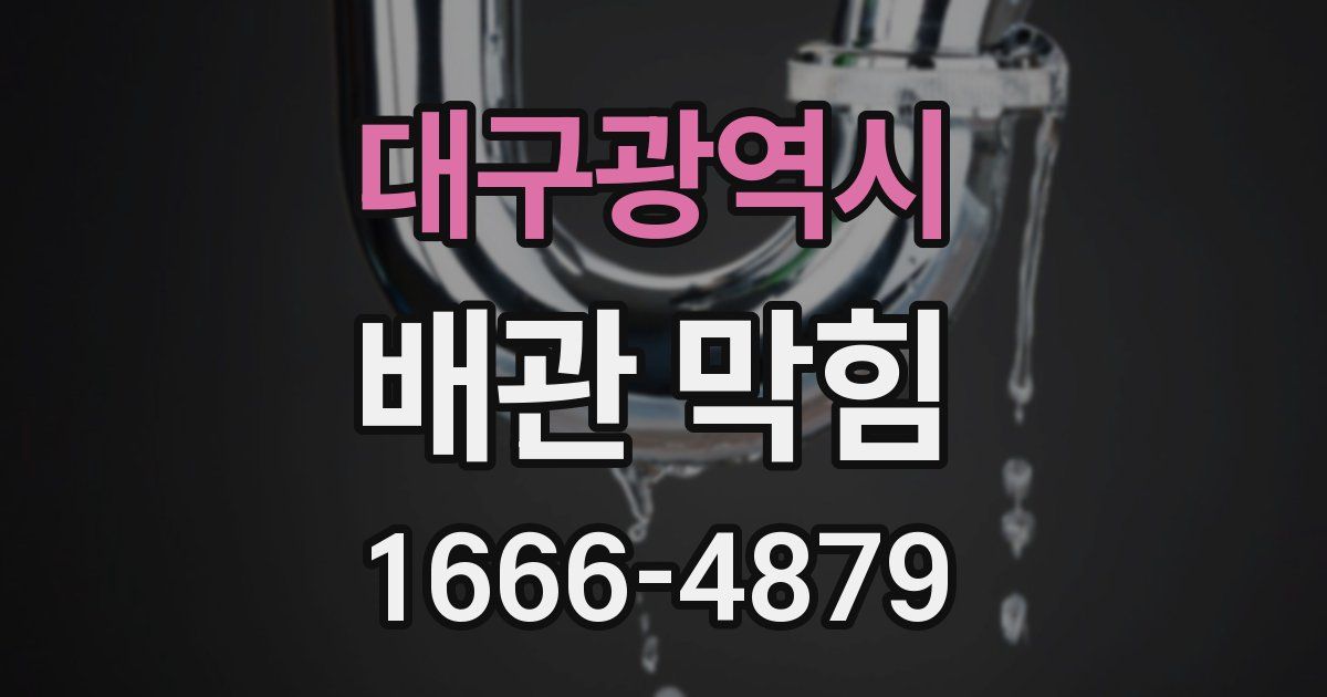 대구광역시 배관 막힘