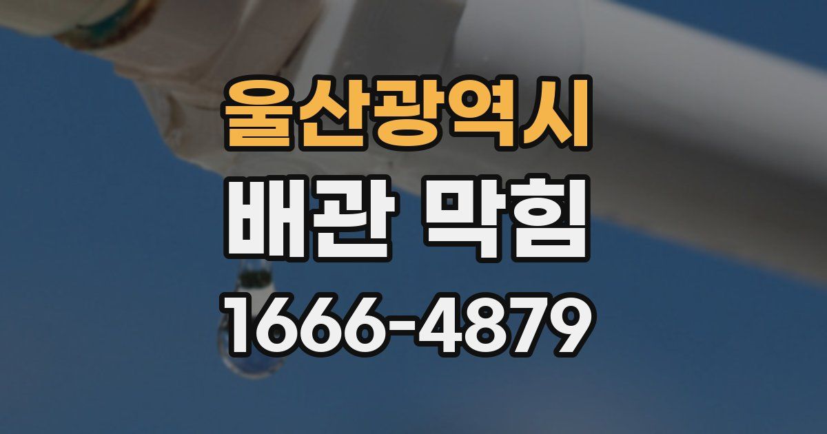 울산광역시 배관 막힘