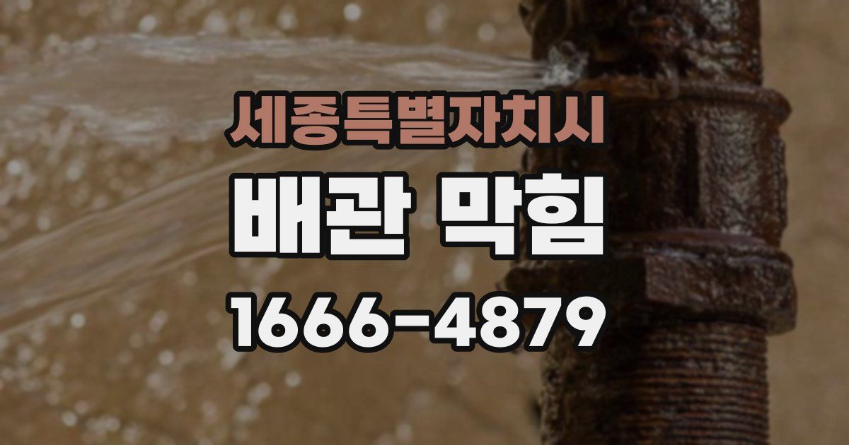 세종특별자치시 배관 막힘