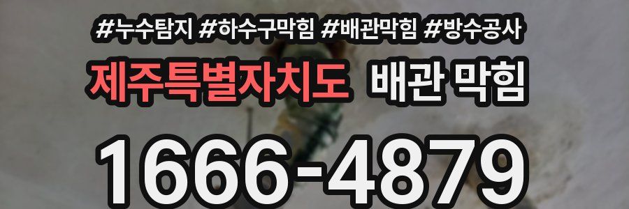 제주특별자치도 배관 막힘