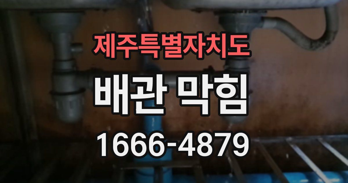 제주특별자치도 배관 막힘
