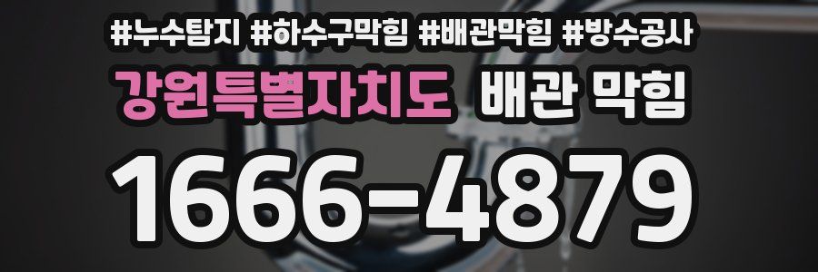 강원특별자치도 배관 막힘