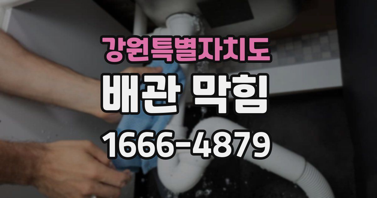 강원특별자치도 배관 막힘
