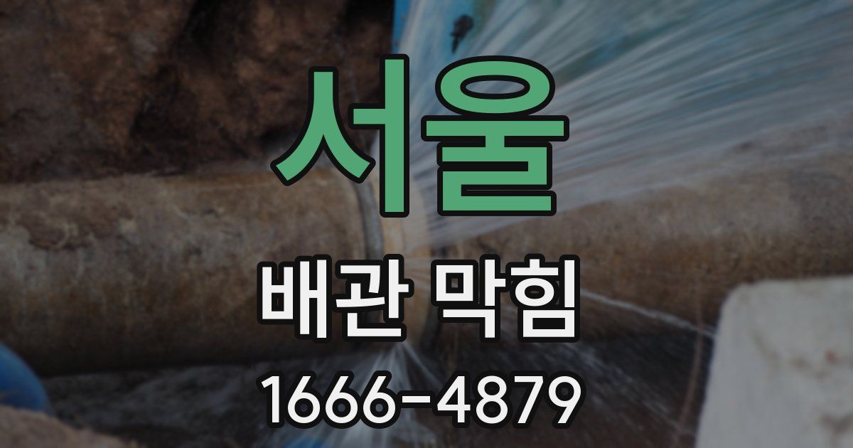 서울 배관 막힘