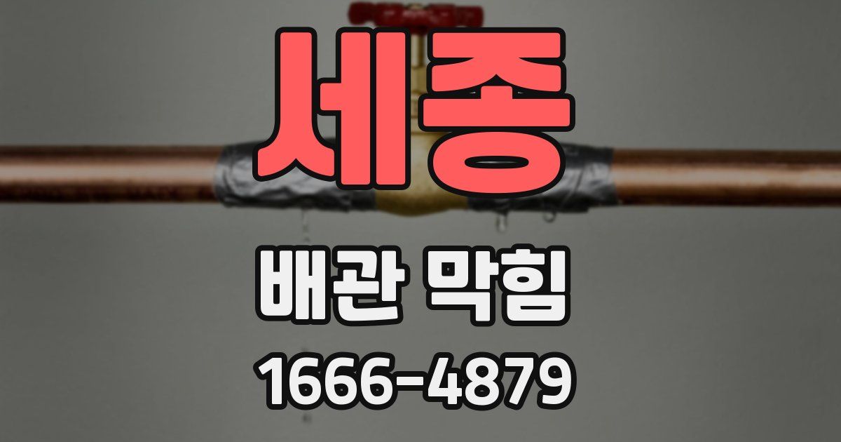 세종 배관 막힘