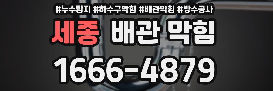세종 배관 막힘