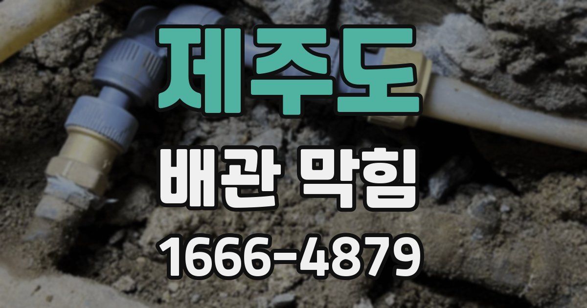 제주도 배관 막힘