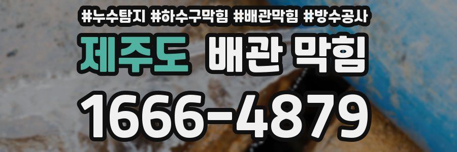 제주도 배관 막힘