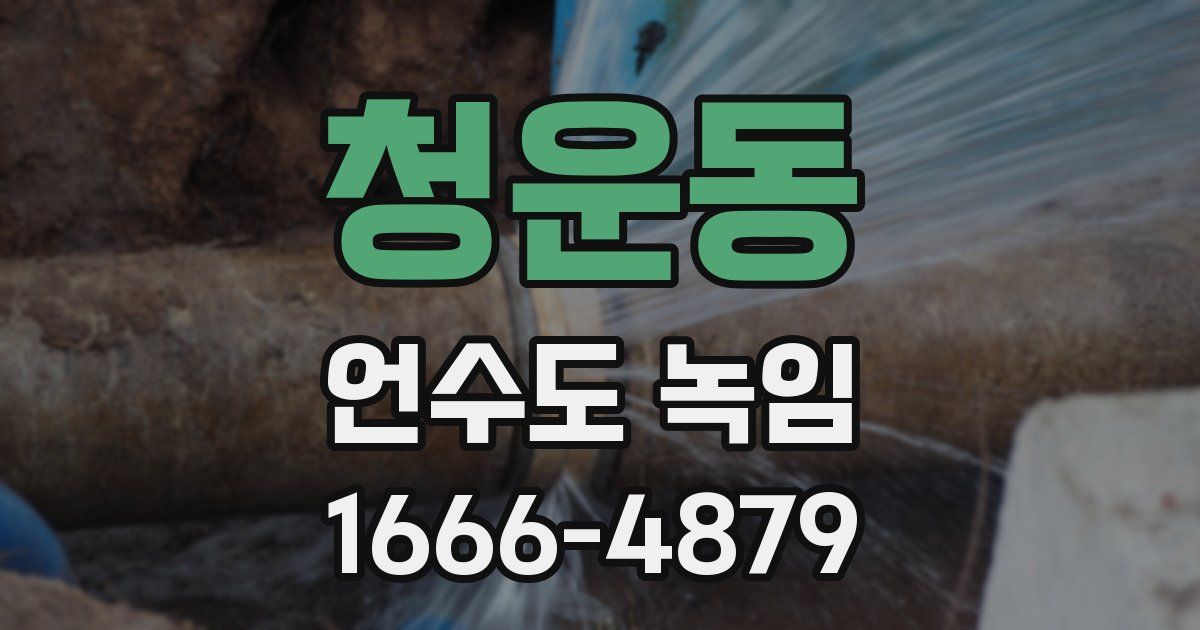 청운동 언수도 녹임
