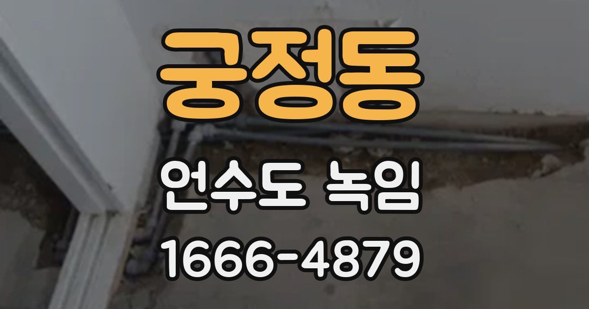 궁정동 언수도 녹임