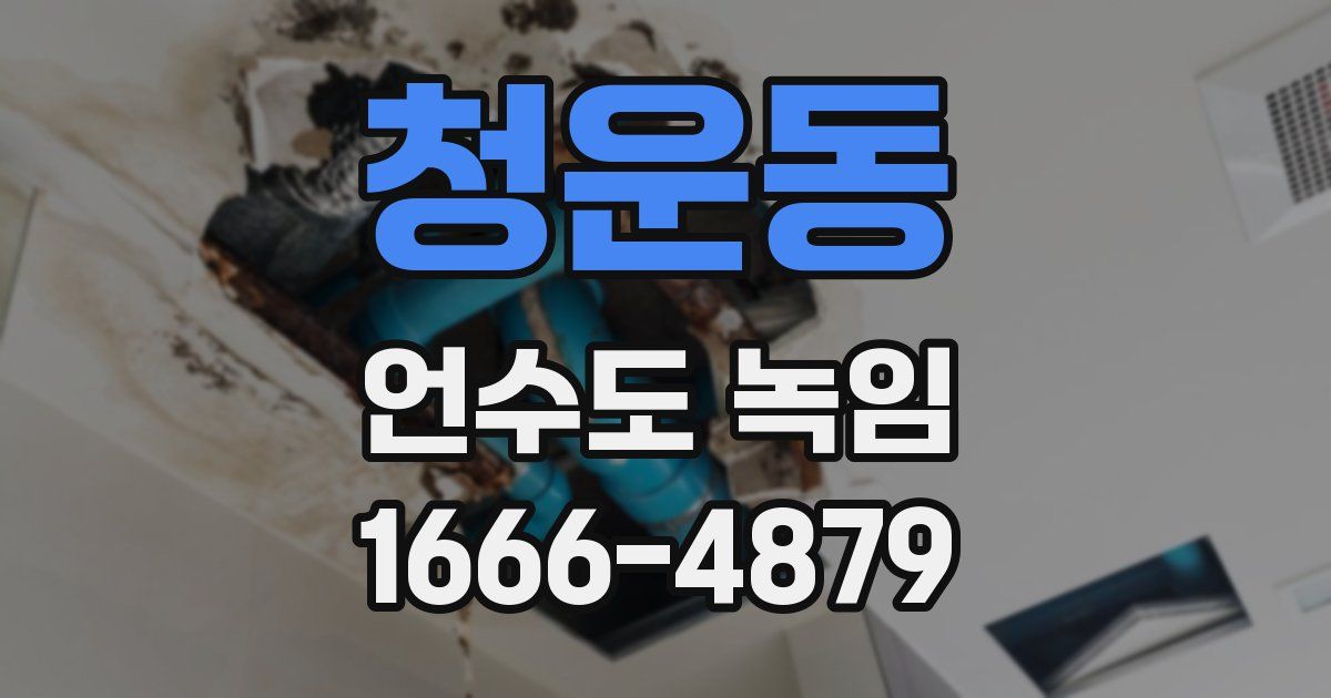 청운동 언수도 녹임