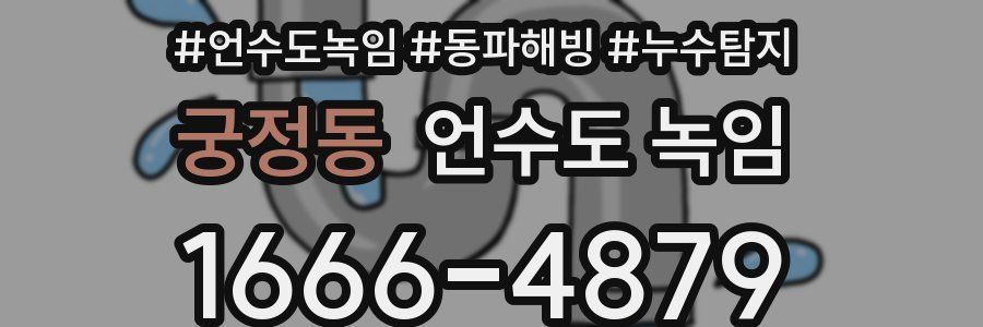 궁정동 언수도 녹임