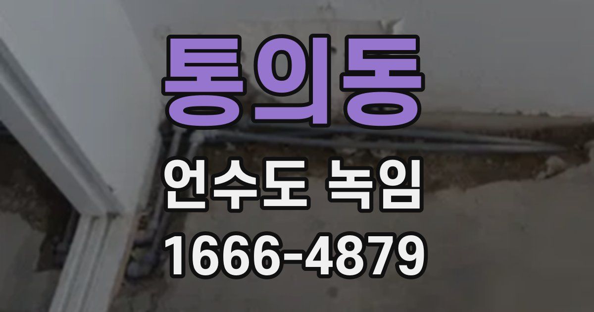 통의동 언수도 녹임