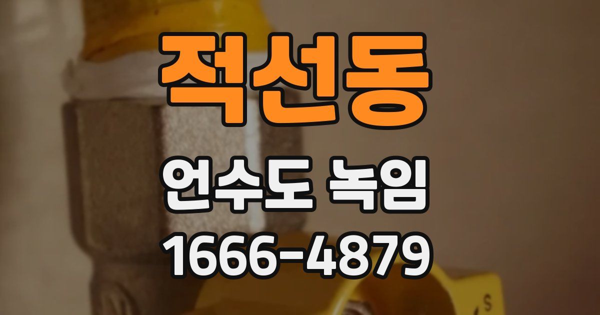 적선동 언수도 녹임