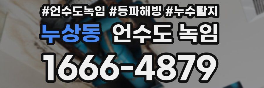 누상동 언수도 녹임