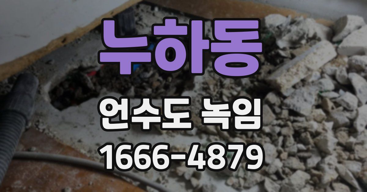 누하동 언수도 녹임