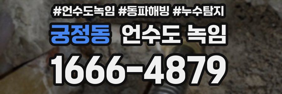 궁정동 언수도 녹임