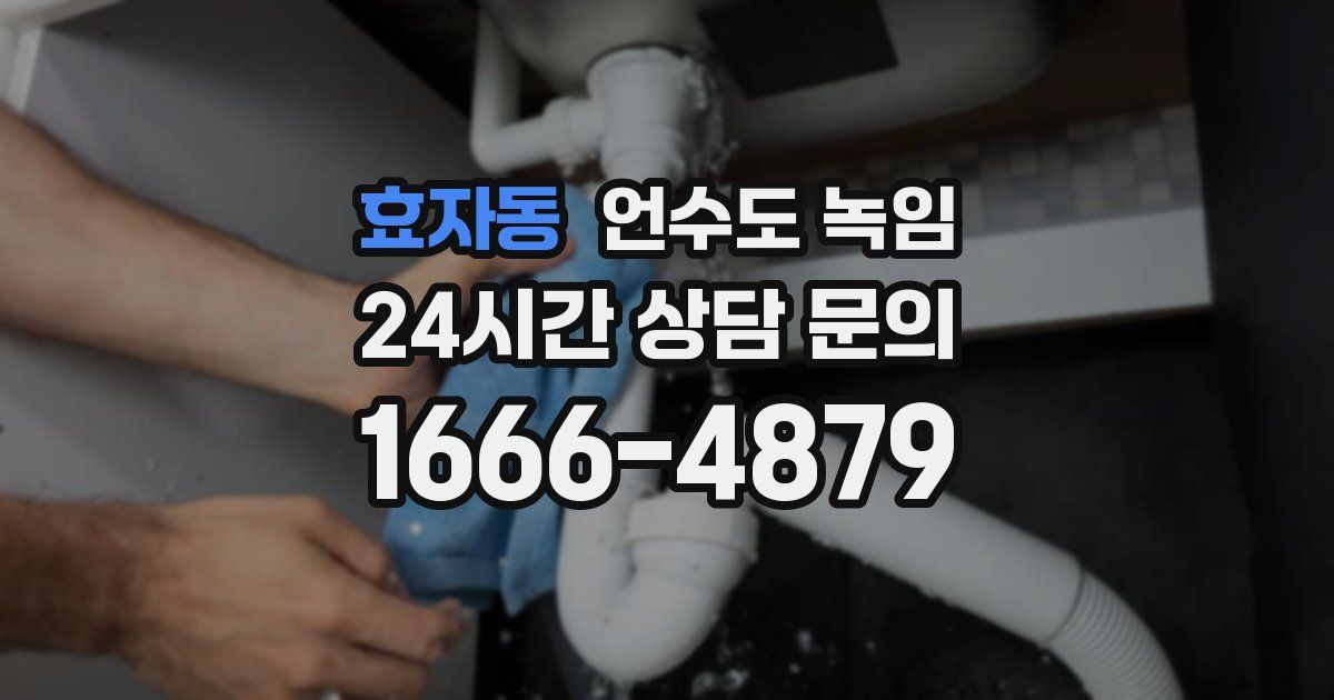 효자동 언수도 녹임