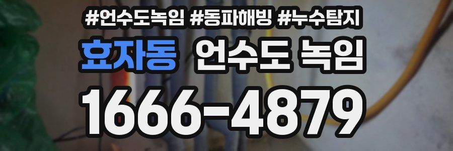 효자동 언수도 녹임