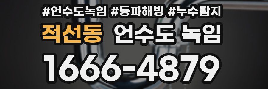 적선동 언수도 녹임