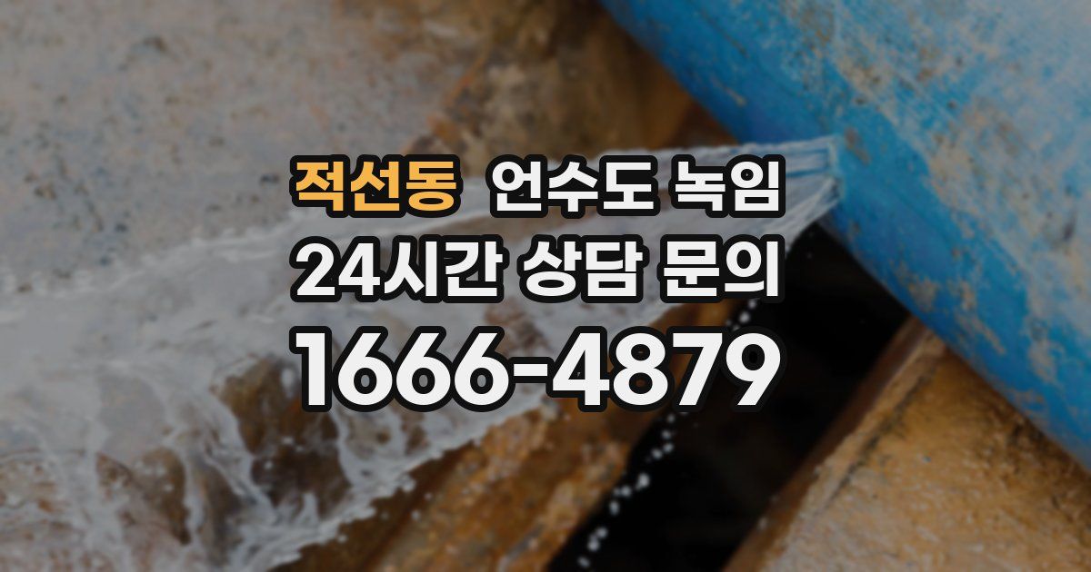 적선동 언수도 녹임