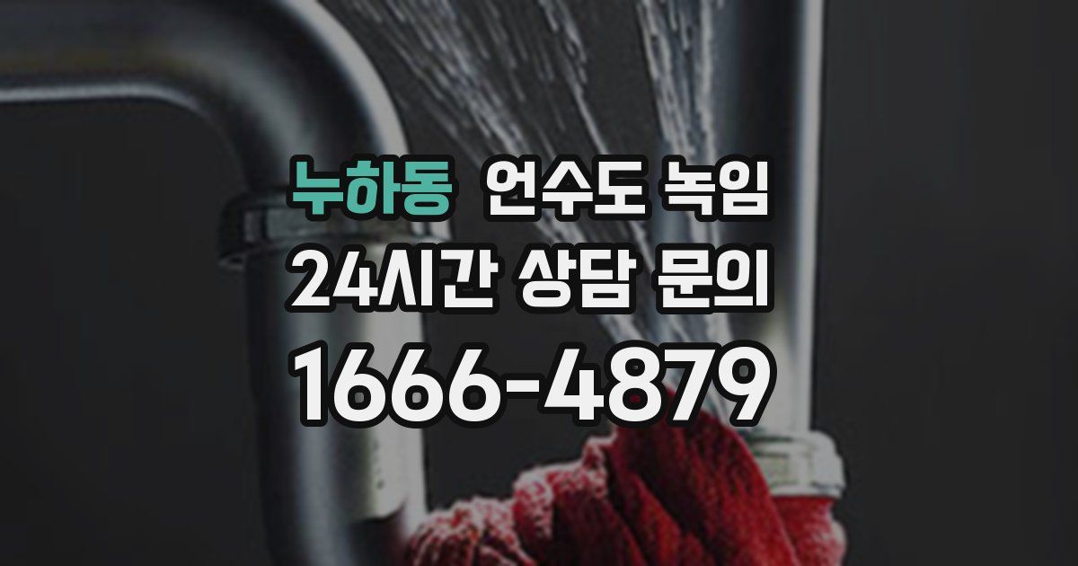 누하동 언수도 녹임