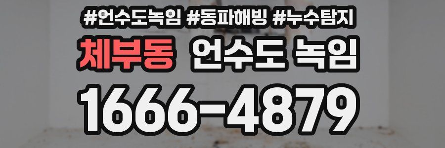 체부동 언수도 녹임