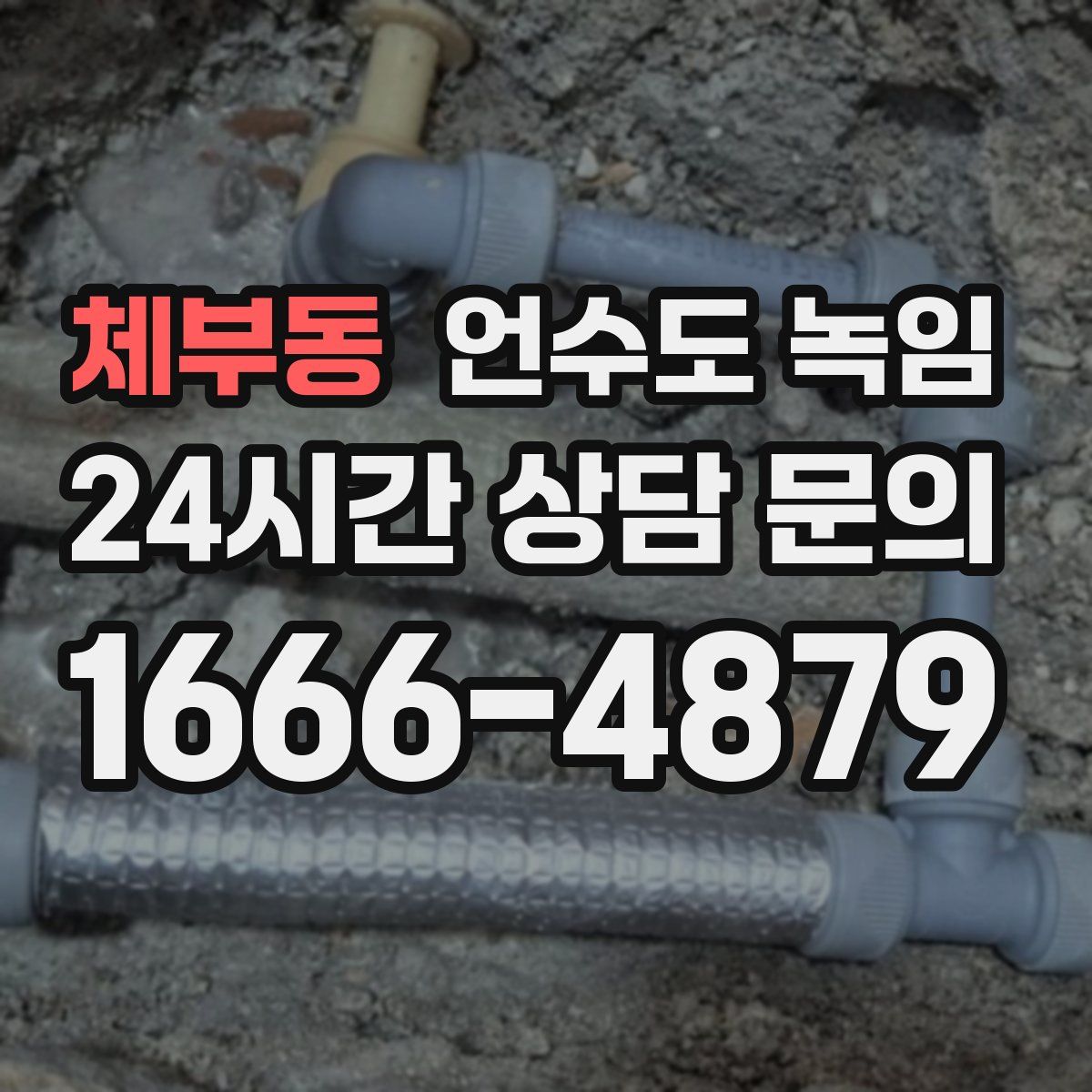 체부동 언수도 녹임