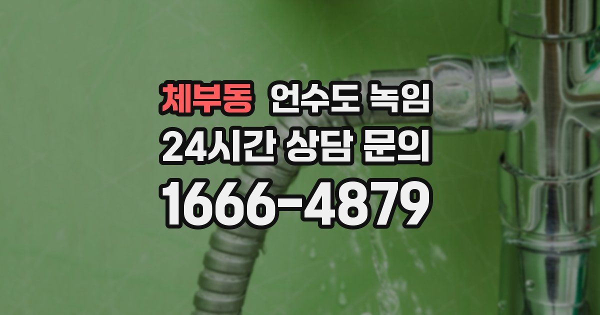 체부동 언수도 녹임