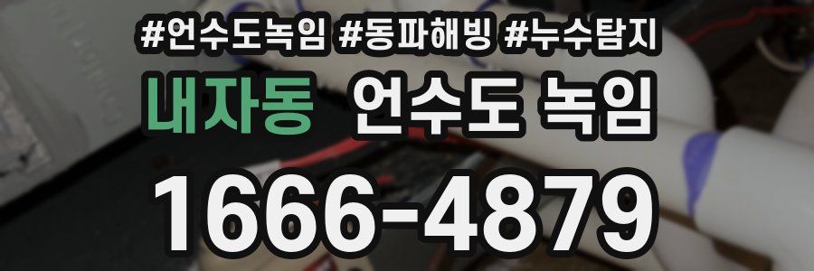 내자동 언수도 녹임