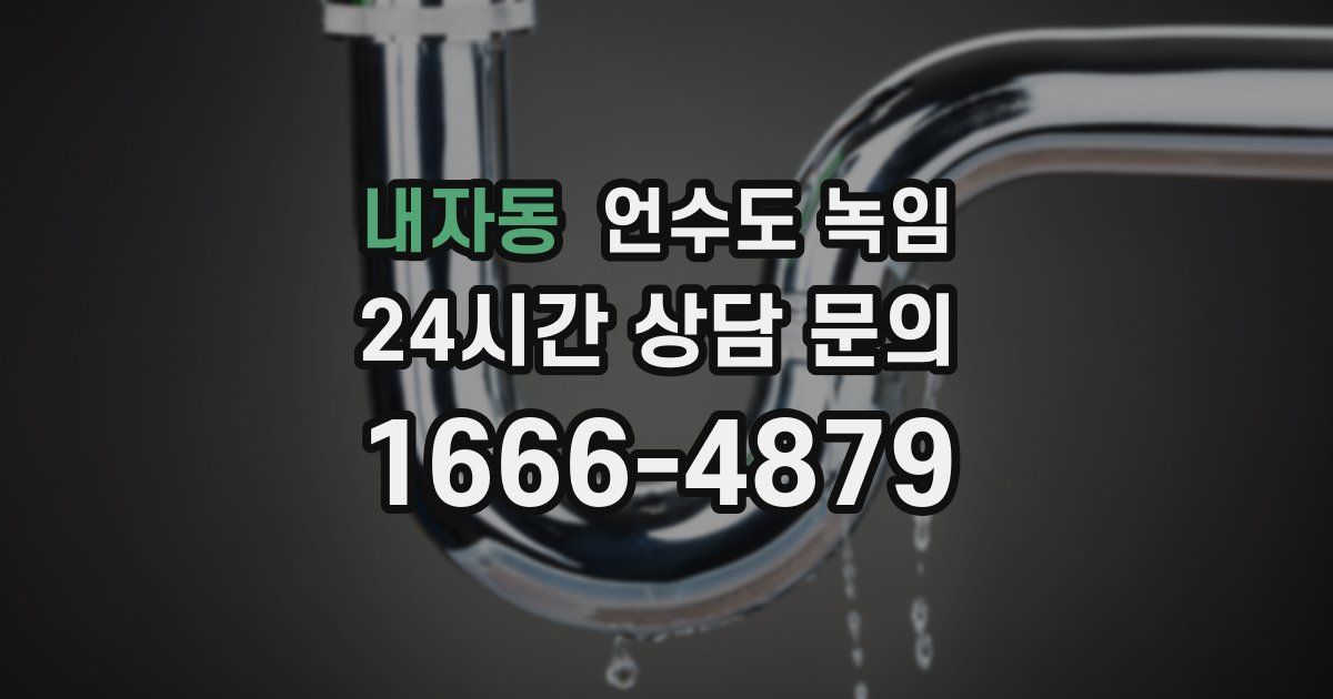 내자동 언수도 녹임