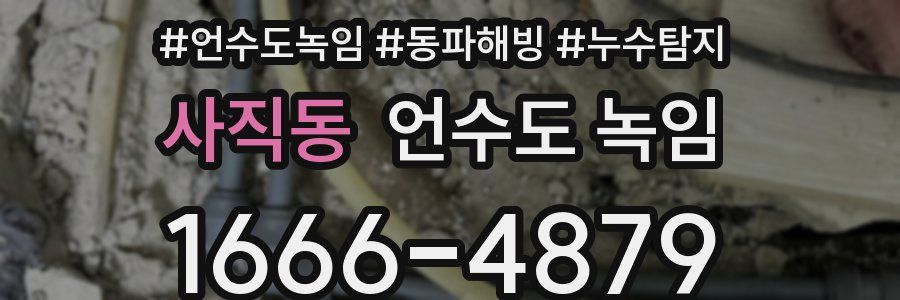 사직동 언수도 녹임