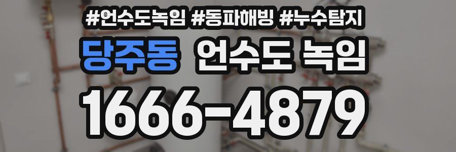 당주동 언수도 녹임